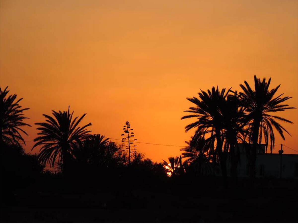 Bed and Breakfast Dar Jasmin Djerba Temlale Exterior foto