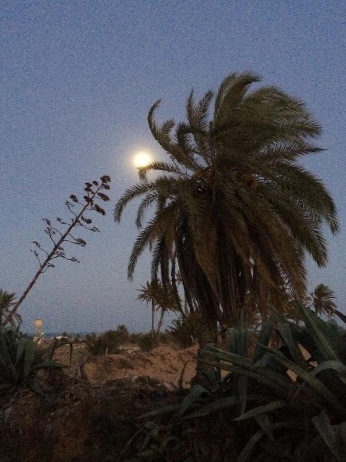 Bed and Breakfast Dar Jasmin Djerba Temlale Exterior foto