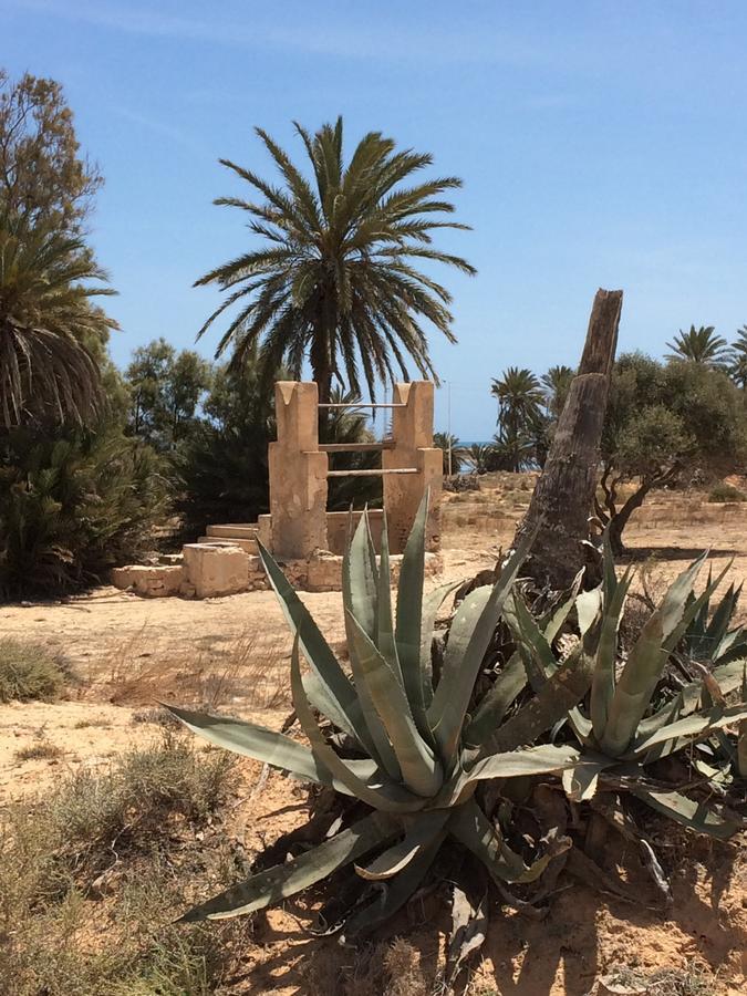 Bed and Breakfast Dar Jasmin Djerba Temlale Exterior foto