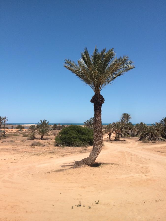 Bed and Breakfast Dar Jasmin Djerba Temlale Exterior foto