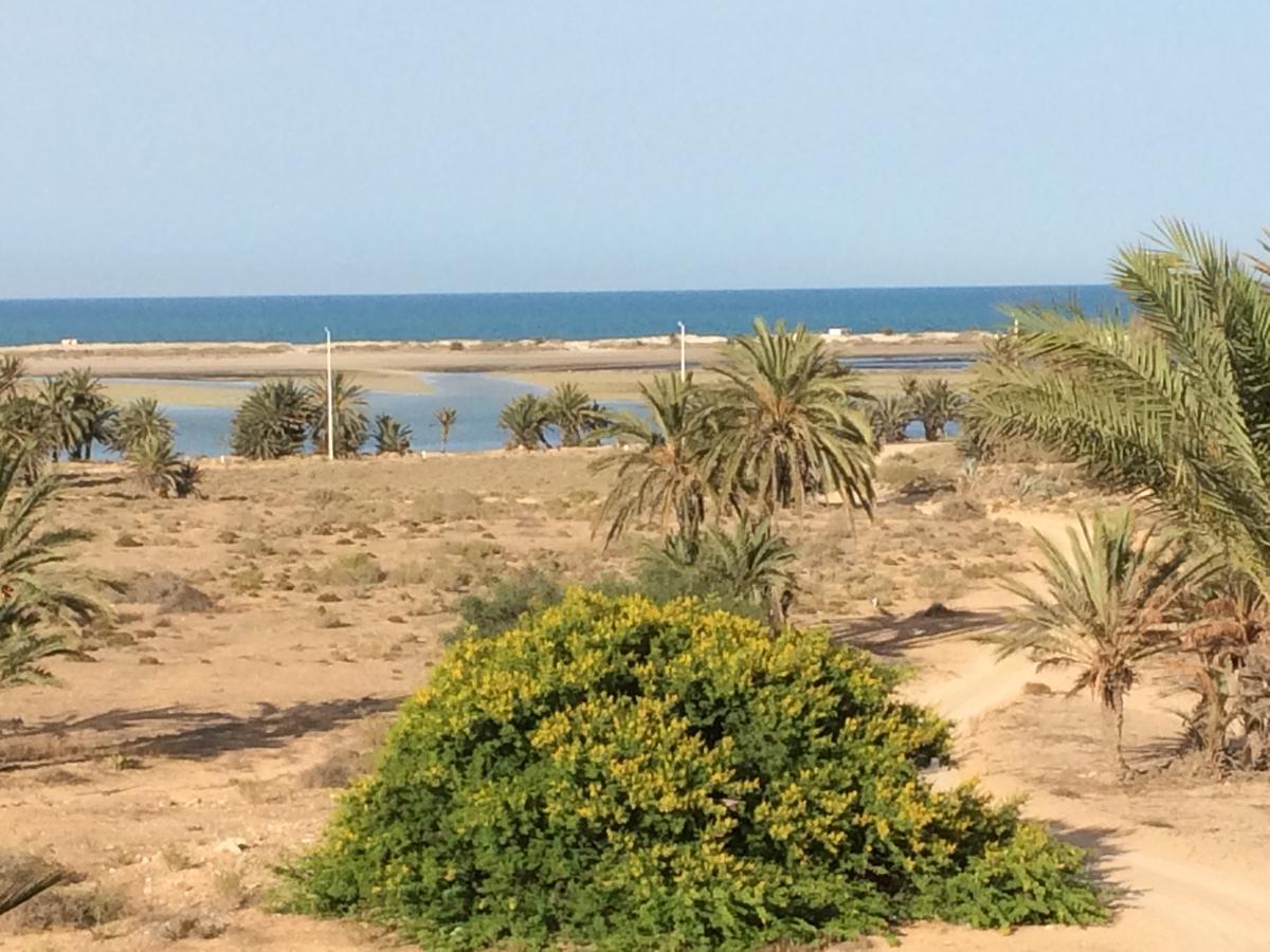 Bed and Breakfast Dar Jasmin Djerba Temlale Exterior foto